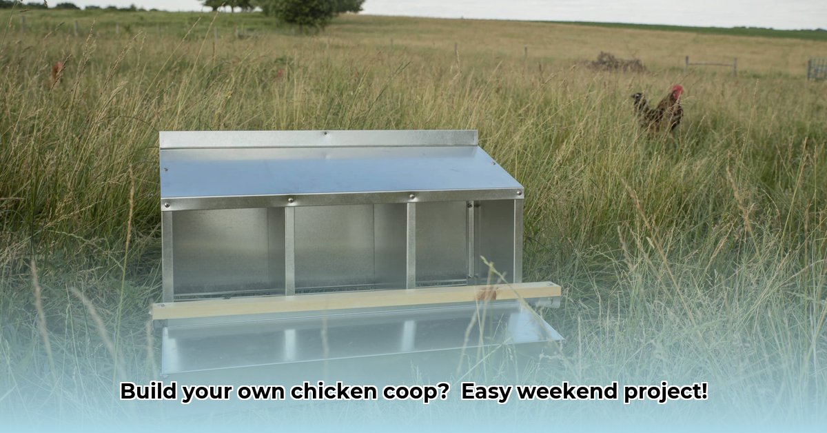 tractor-supply-chicken-nest-box